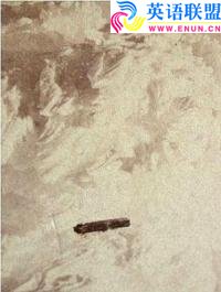 1870年美国华盛顿山