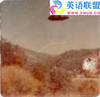 1964年美国
