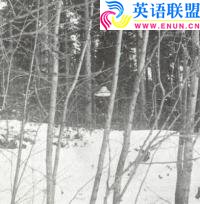 1973-1979年芬兰